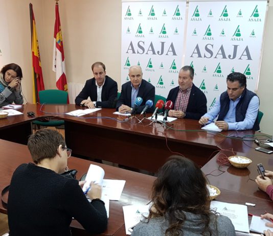 2017 hunde al sector y le deja sin reservas para afrontar 2018