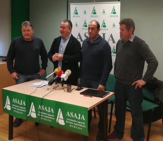 ASAJA pide mayor control de las importaciones de lechazo