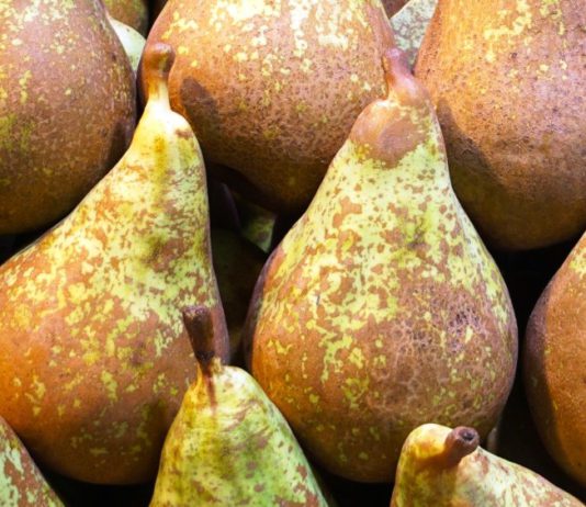 El sector de la fruta dulce reclama medidas de apoyo urgentes