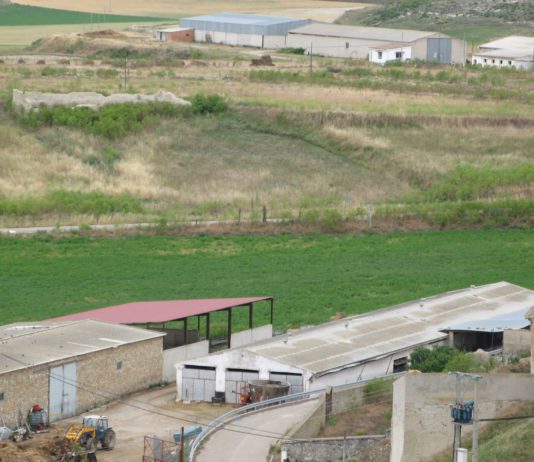 ASAJA pide que no suba el IBI en las naves agrícolas y ganaderas