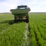 Libre comercio de cereales, pero no de fertilizantes