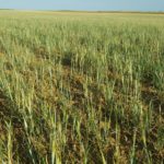 ASAJA valora la revisión de módulos fiscales agrarios