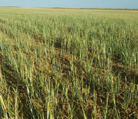 ASAJA valora la revisión de módulos fiscales agrarios