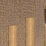 Crecer para sobrevivir