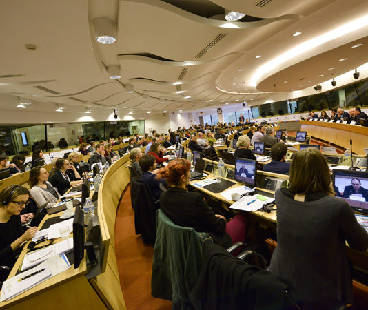 «Los pagos directos solo deben destinarse a los agricultores activos», dice el CESE