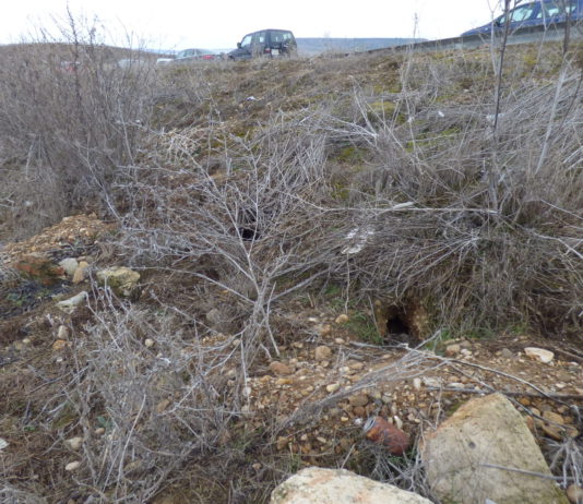 Adif protegerá 450 km de la entrada de conejos