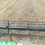 Agosto no es mes para ventas