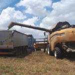 Tormentas en el campo y en los mercados