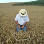 ASAJA confía en que las indemnizaciones de Agroseguro lleguen próximamente