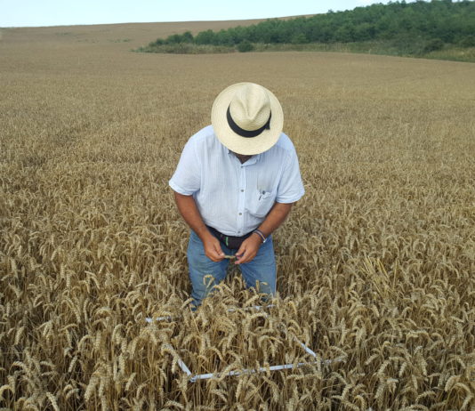 ASAJA confía en que las indemnizaciones de Agroseguro lleguen próximamente