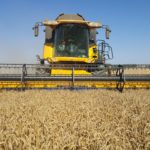 Los precios ya no son los que dice el intermediario