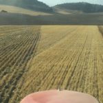 Enredando con la bioeconomía