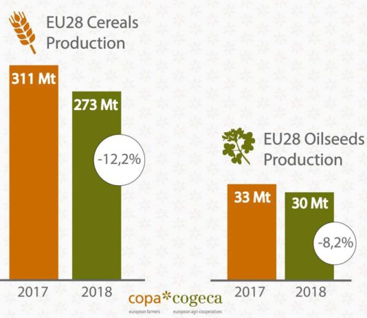 El Copa y la Cogeca confirman un descenso de la producción europea total de cereales superior al 10 %