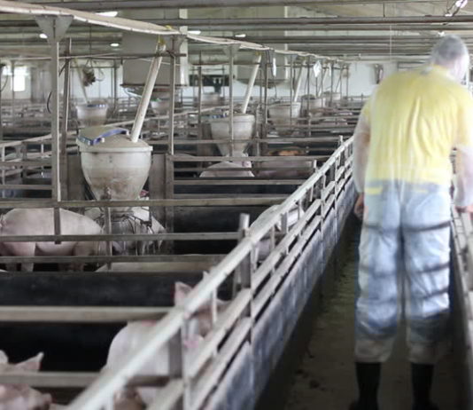 ASAJA rechaza la reducción de la jornada laboral y alerta del grave impacto para el sector agrario