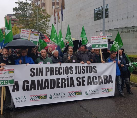 La lluvia no frena las protestas de los ganaderos de ovino de leche, que ven peligrar su supervivencia
