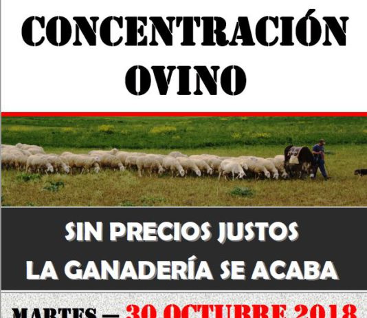 Los ganaderos de ovino de Castilla y León, de nuevo en la calle el martes 30 de octubre
