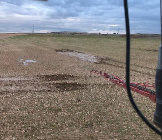 El campo de Castilla y León afronta la última semana de noviembre con la mitad de la superficie de cereal sin sembrar