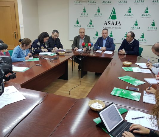 2018: un año de transición y de inacción política