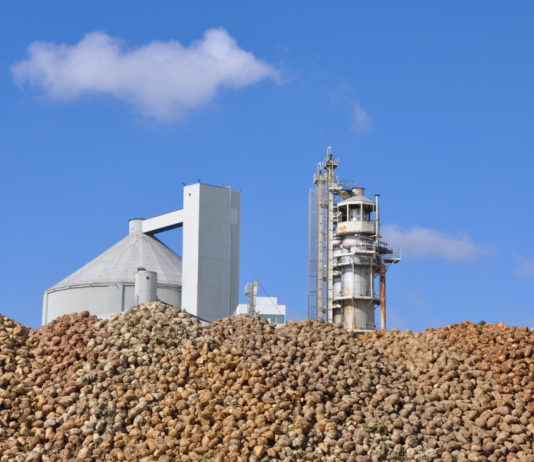 ASAJA advierte a los cultivadores de remolacha de la «letra pequeña» de los nuevos contratos de AB Azucarera