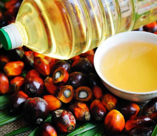 ASAJA pide a la industria agroalimentaria que dé prioridad a aceites sanos y de origen local, como el de girasol y el de oliva