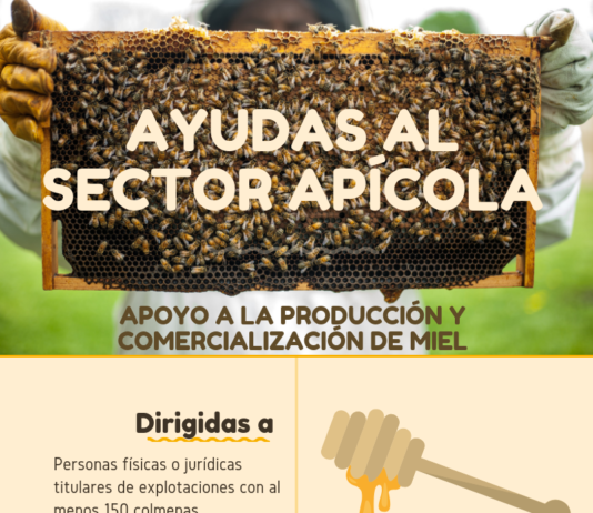 Ayudas al sector apícola, hasta el próximo 22 de mayo