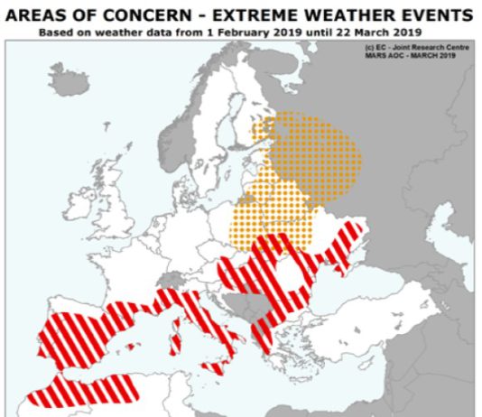 ASAJA vaticina una campaña de cereales inferior a la media de los últimos años