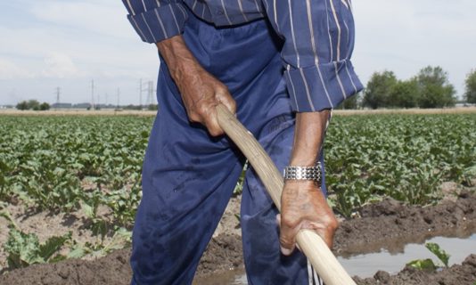 ASAJA consigue que los agricultores que optaron al cese anticipado no dejen de recibir ayuda, aunque se posponga la edad de jubilación