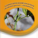 Agricultura recomienda a los agricultores que vigilen la presencia de gusanos defoliadores en la alfalfa