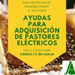 Subvenciones para la compra de pastores eléctricos para compensar los daños ocasionados por el oso pardo