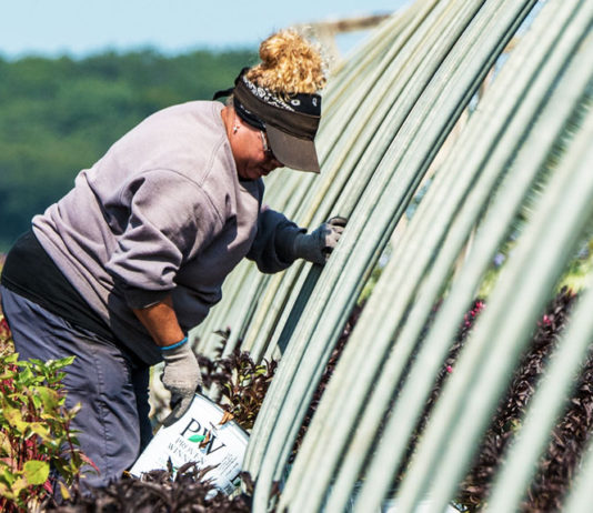 ASAJA reclama una mayor presencia de las mujeres agricultoras y ganaderas en todos los foros, “no solo cuando se habla de mujer”