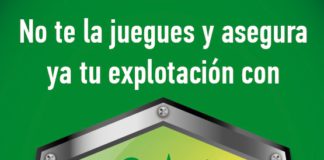 Ampliación de modificaciones del Seguro de rendimientos del cereal (línea 309)