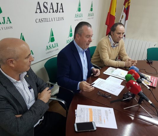 2019: producciones muy desiguales, desgobierno político y un sector ‘solo ante el peligro’