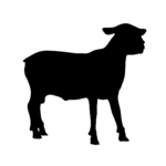 Actualización censos de ganado en el registro REGA, hasta el 1 de marzo