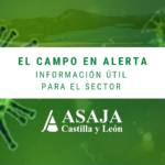 Guía para la prevención y control de la Covid-19 en las industrias de la carne