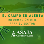 Alerta sanitaria: mercados, reuniones, caza…