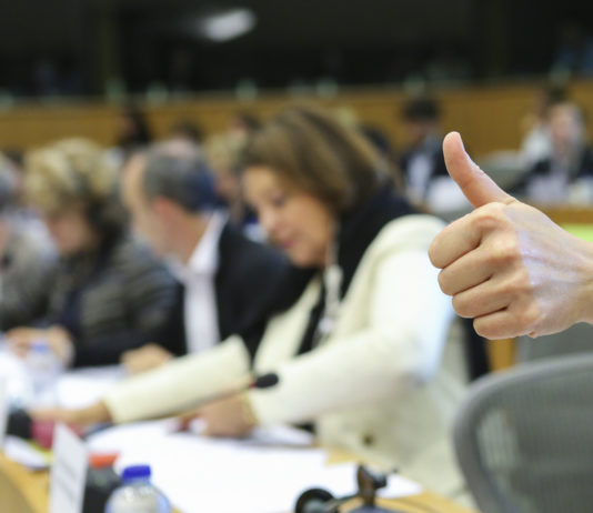 La Comisión de Agricultura aprueba un reglamento transitorio para la PAC