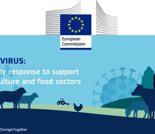 Las medidas de apoyo al sector agrario adoptadas por Bruselas deben tener mayor ambición presupuestaria y ser complementadas por el gobierno español