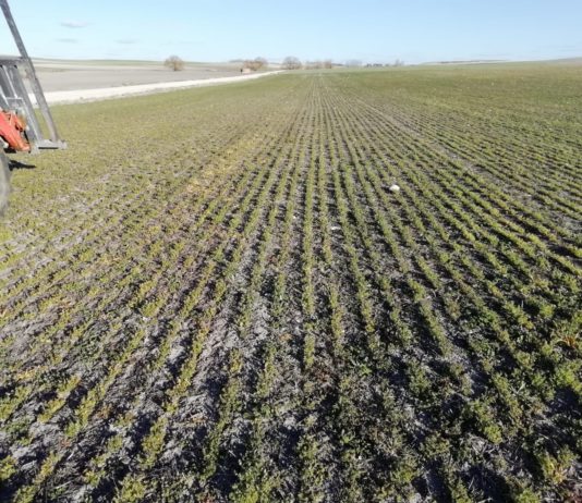 Cara y cruz del campo: se trabaja con normalidad, pero la crisis quiebra los canales de venta