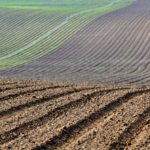 El problema de las hipotecas sobre fincas rústicas