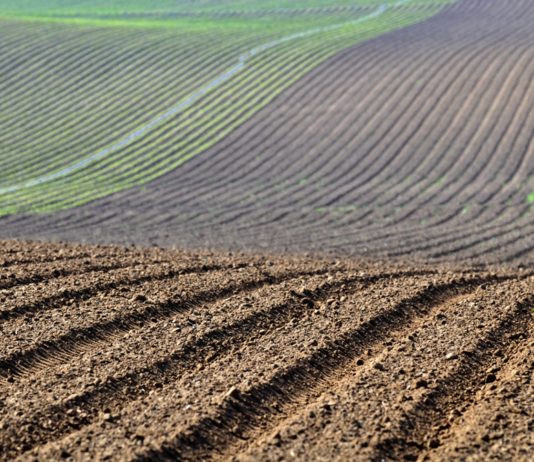 ASAJA critica la nueva normativa sobre abonado por aumentar la carga burocrática en el campo