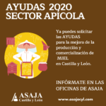 Ayudas para la mejora de la producción y comercialización de la miel