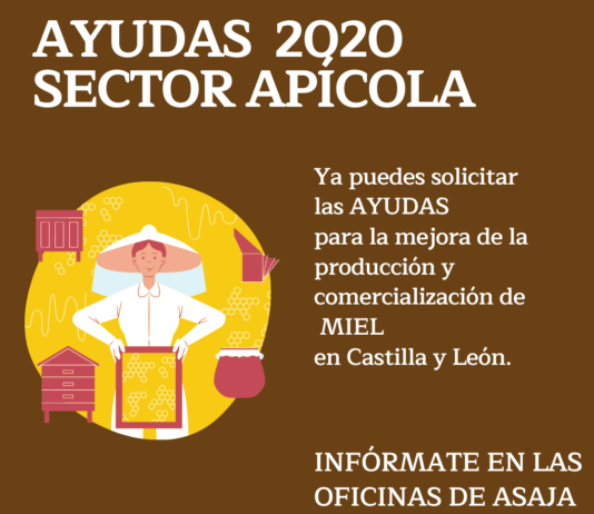 Ayudas para la mejora de la producción y comercialización de la miel