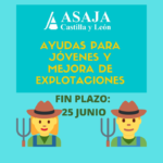 Jóvenes y mejora de explotaciones: hasta el 25 de junio