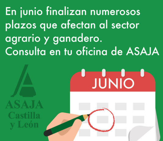 Últimos días para presentar ayudas PAC y otros plazos pendientes