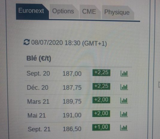 Los mercados internacionales marcan la tendencia alcista en el mercado de futuros del trigo