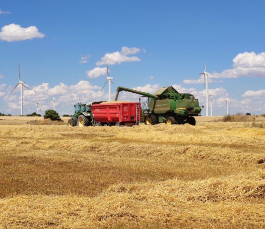 ASAJA ve signos de mejoría en los mercados internacionales del cereal y pide prudencia a los agricultores a la hora de vender en cosecha