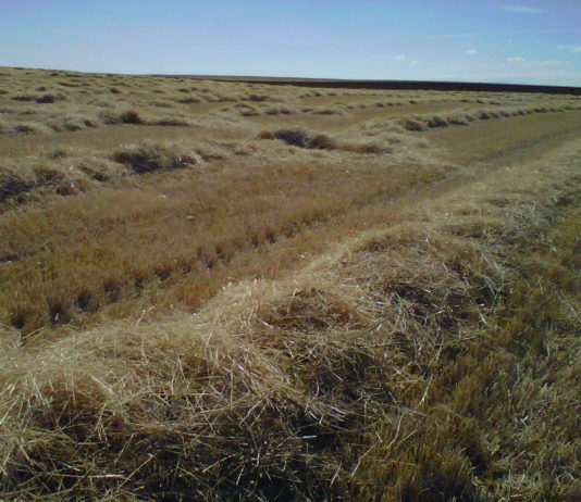 ASAJA propondrá en el Consejo Agrario que Castilla y León retome la autorización de quemas controladas en parcelas de rastrojo
