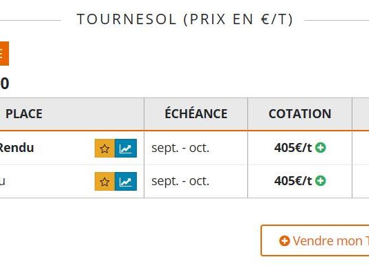 Cambio de tendencia en los precios del girasol, que ya supera los 400 € / Tm en los mercados internacionales