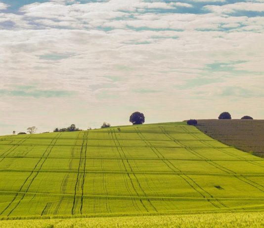 ASAJA exige a la Junta que libere los 185 millones de euros de la PAC que no ha pagado y que le tiene autorizados el Ministerio