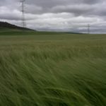 Precios descompensados